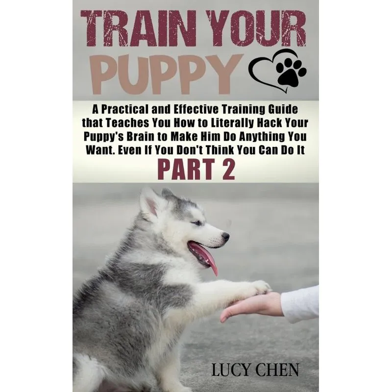Train your Puppy
