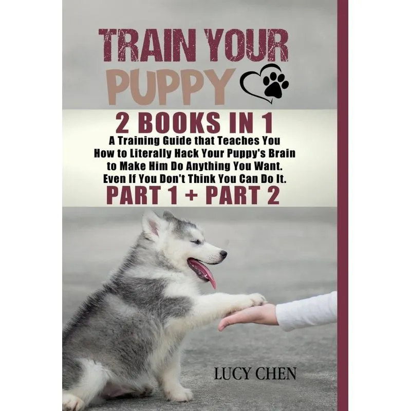 Train your Puppy