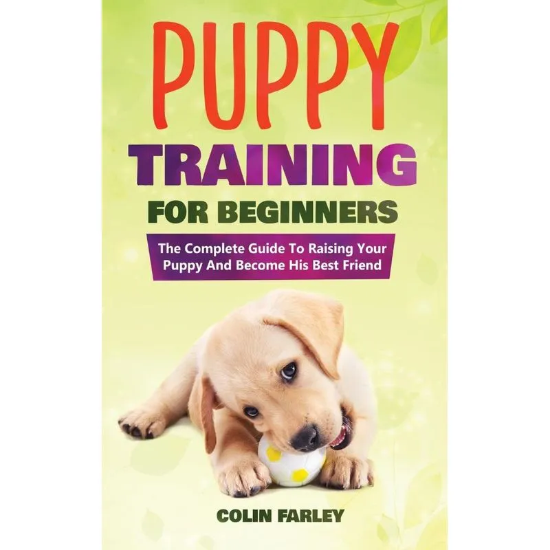 Puppy Training For Beginners