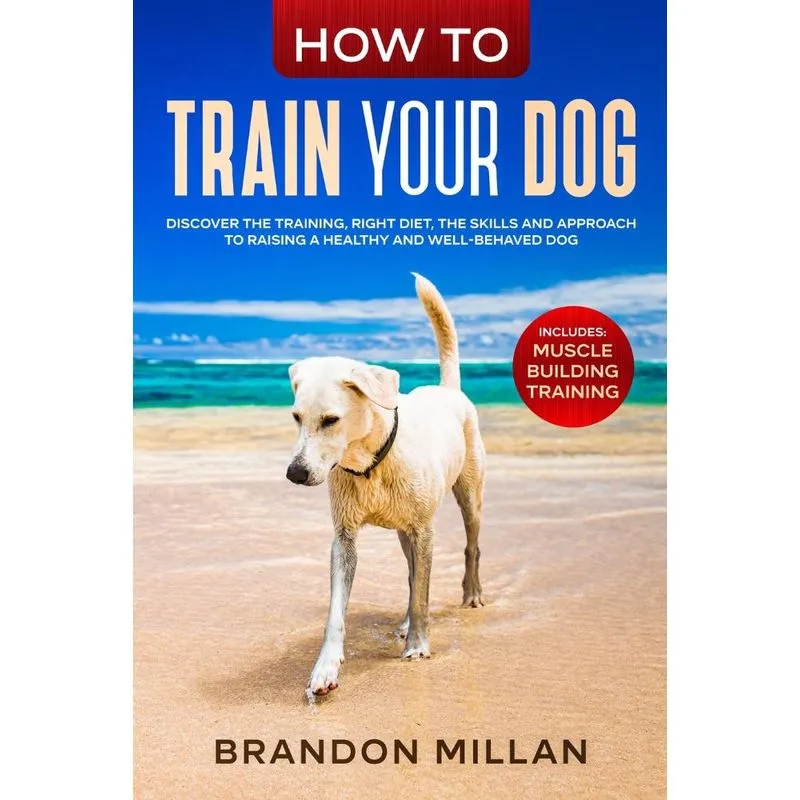 How to Train your Dog