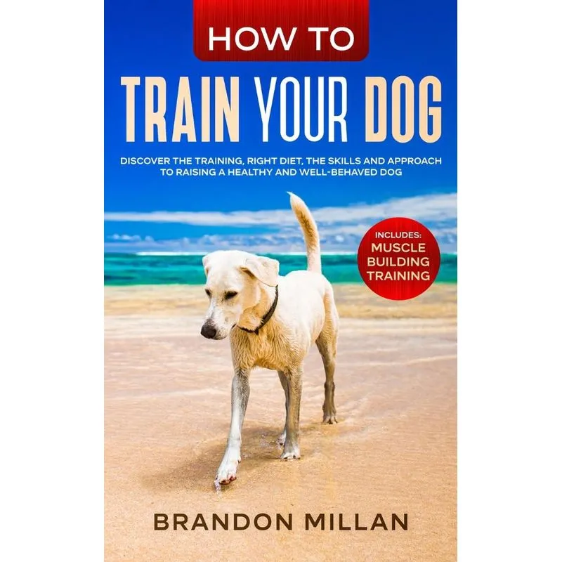 How to Train your Dog