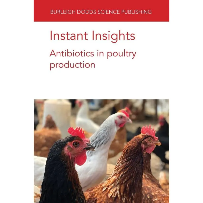 Instant Insights