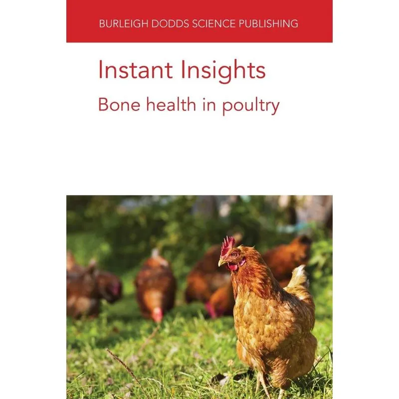 Instant Insights