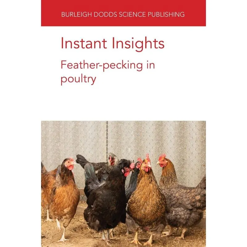 Instant Insights