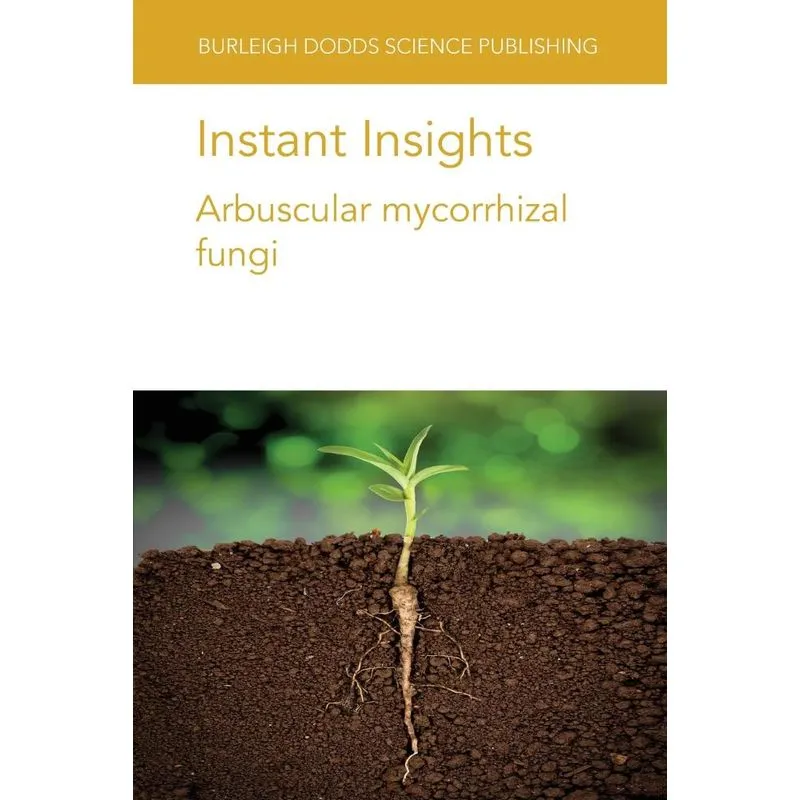 Instant Insights