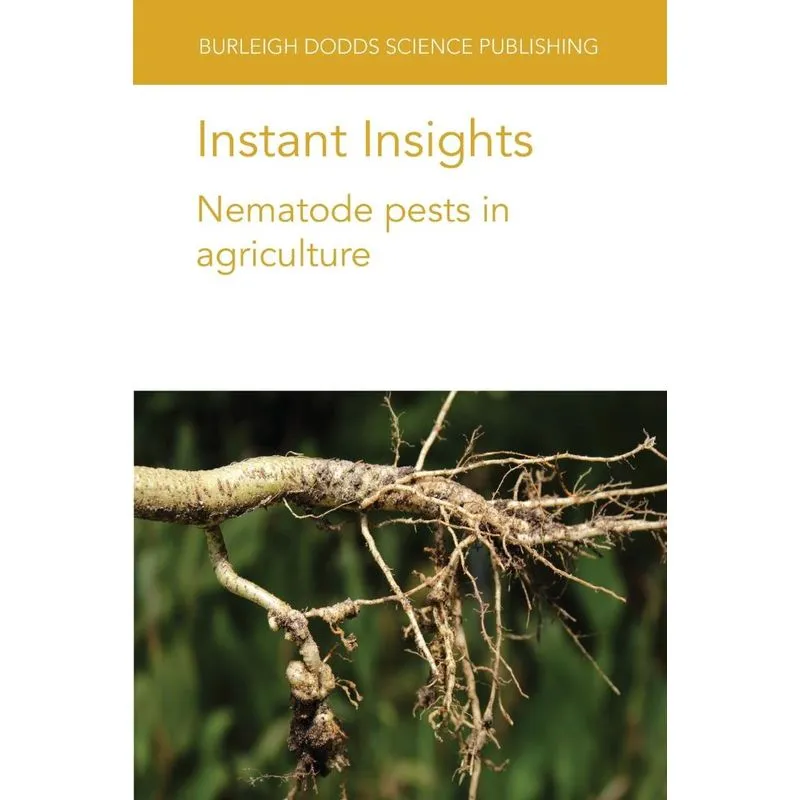 Instant Insights