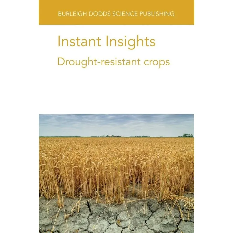 Instant Insights