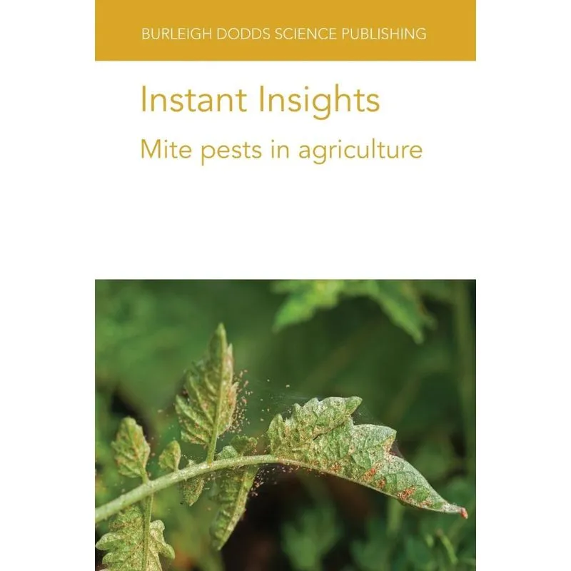 Instant Insights