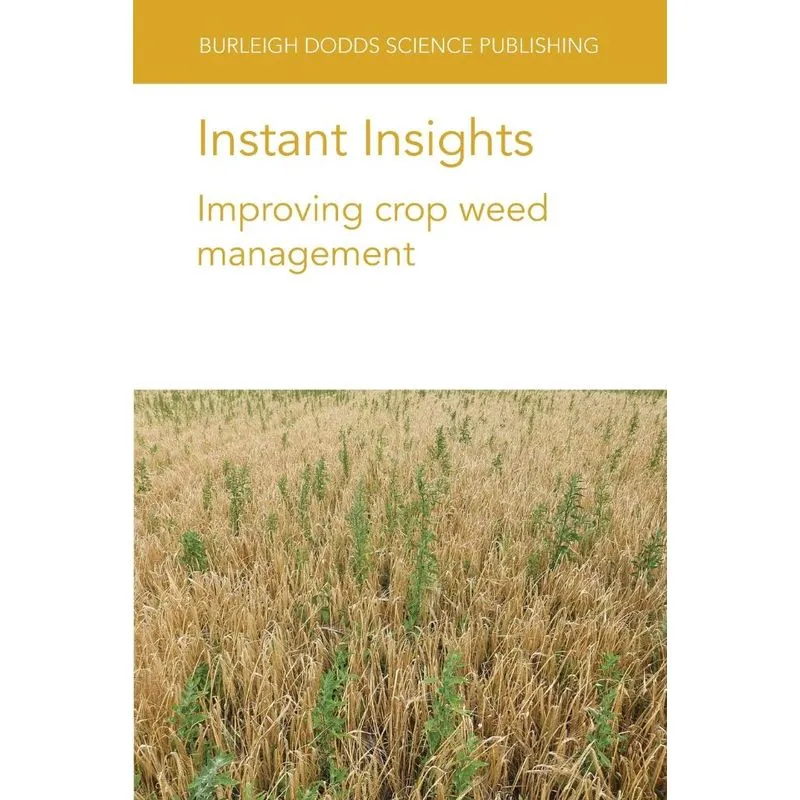 Instant Insights