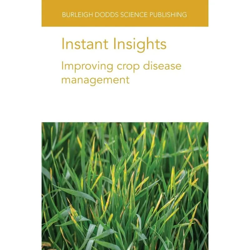 Instant Insights