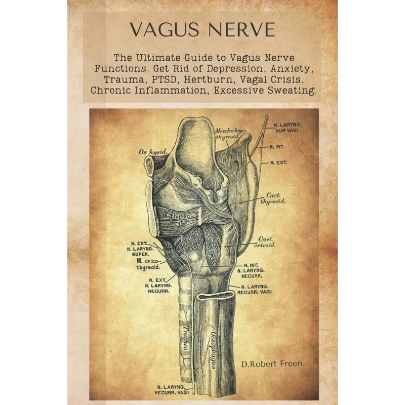 Vagus Nerve