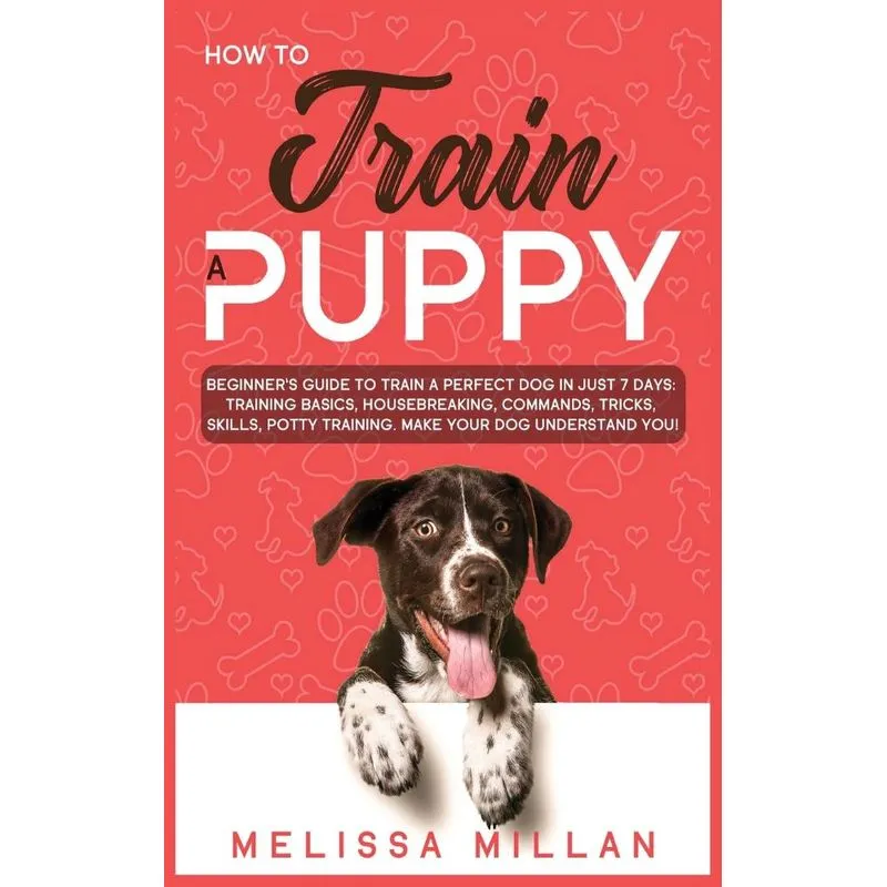 How to Train a Puppy