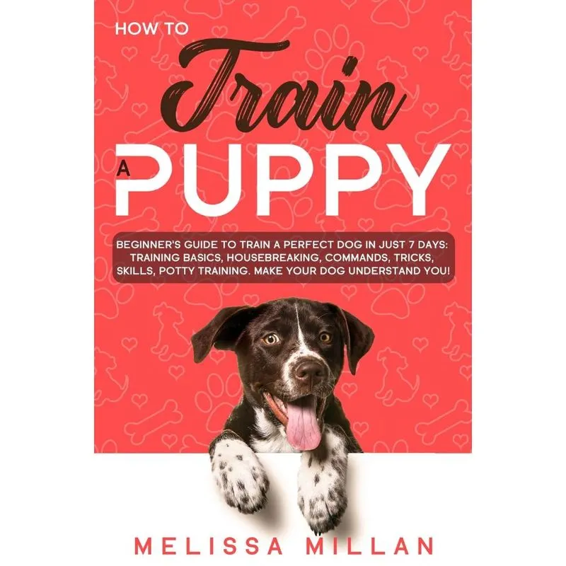 How to Train a Puppy