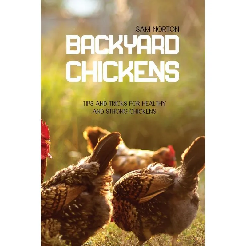 Backyard Chickens