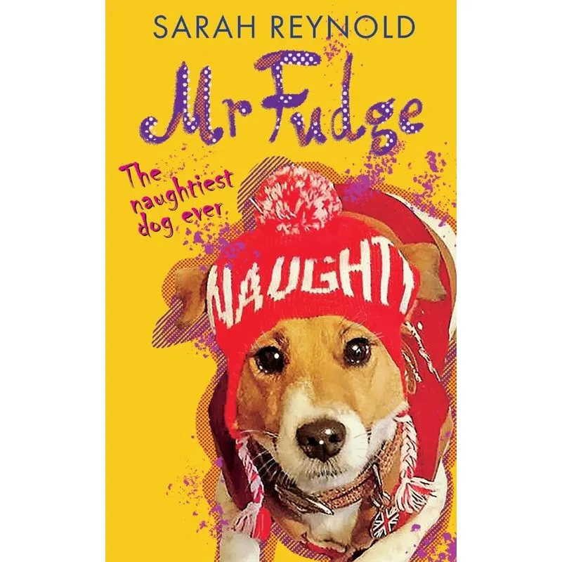 Mr Fudge