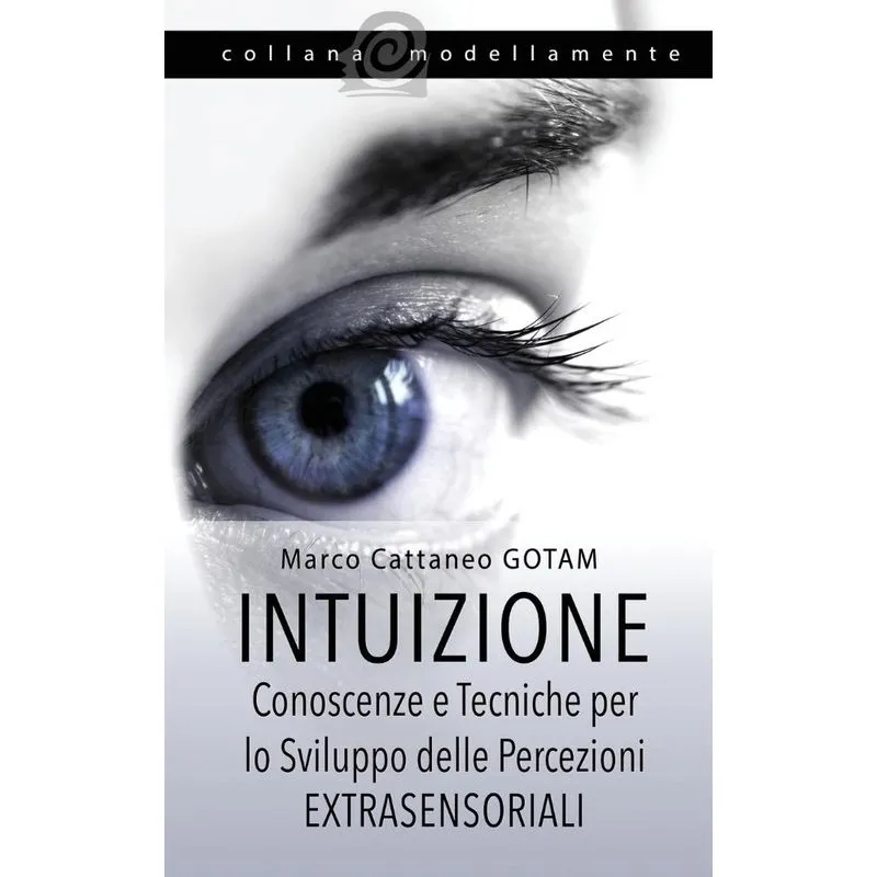 Intuizione