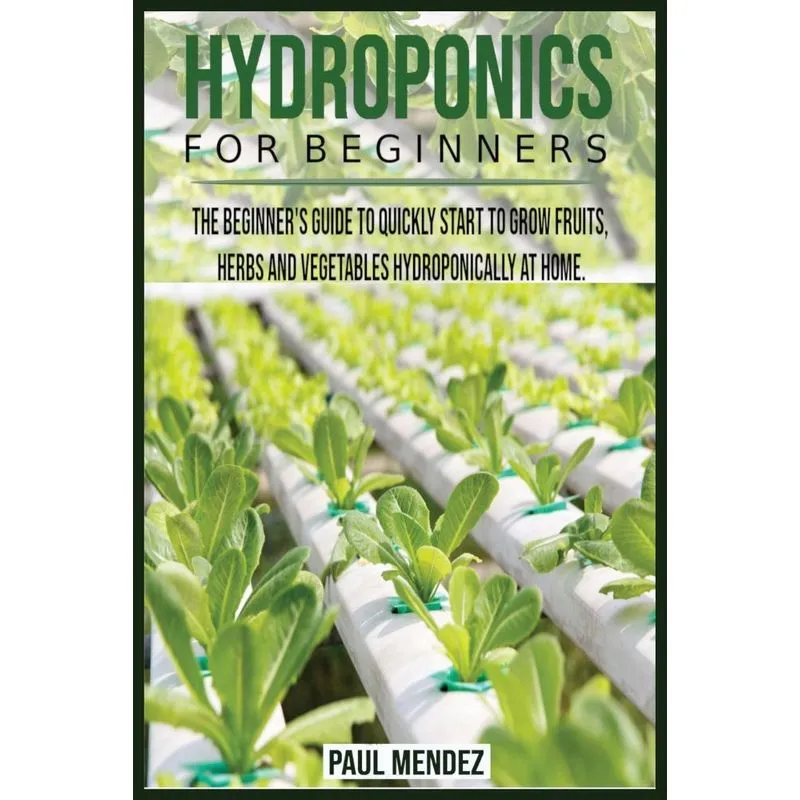 Hydroponics For BeginnerS