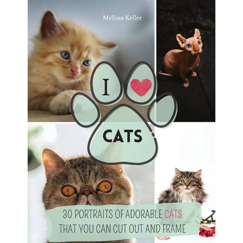 I Love Cats