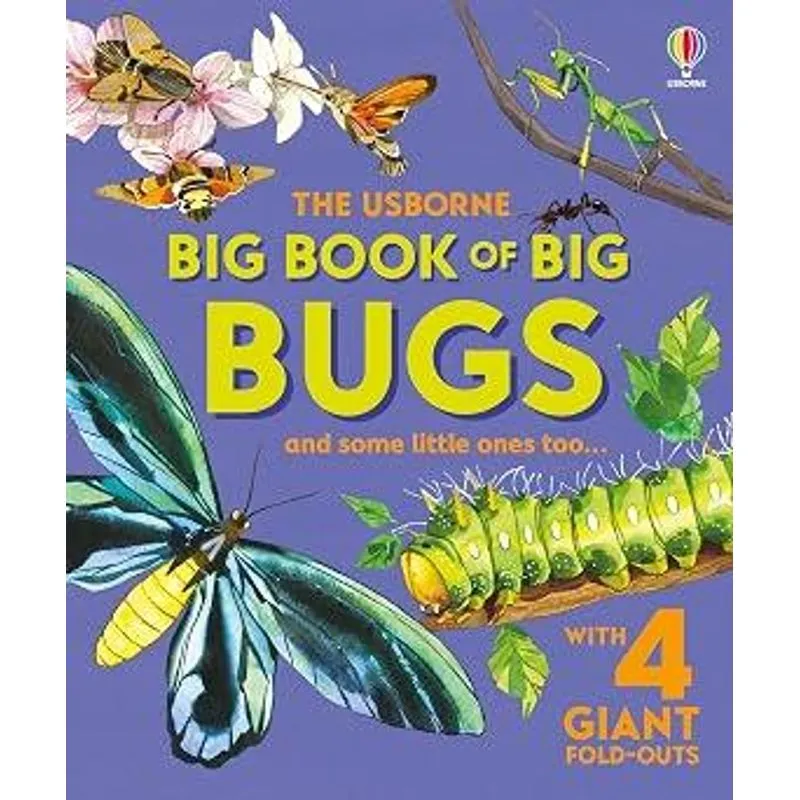 Big Book of Big Bugs (Big Books)