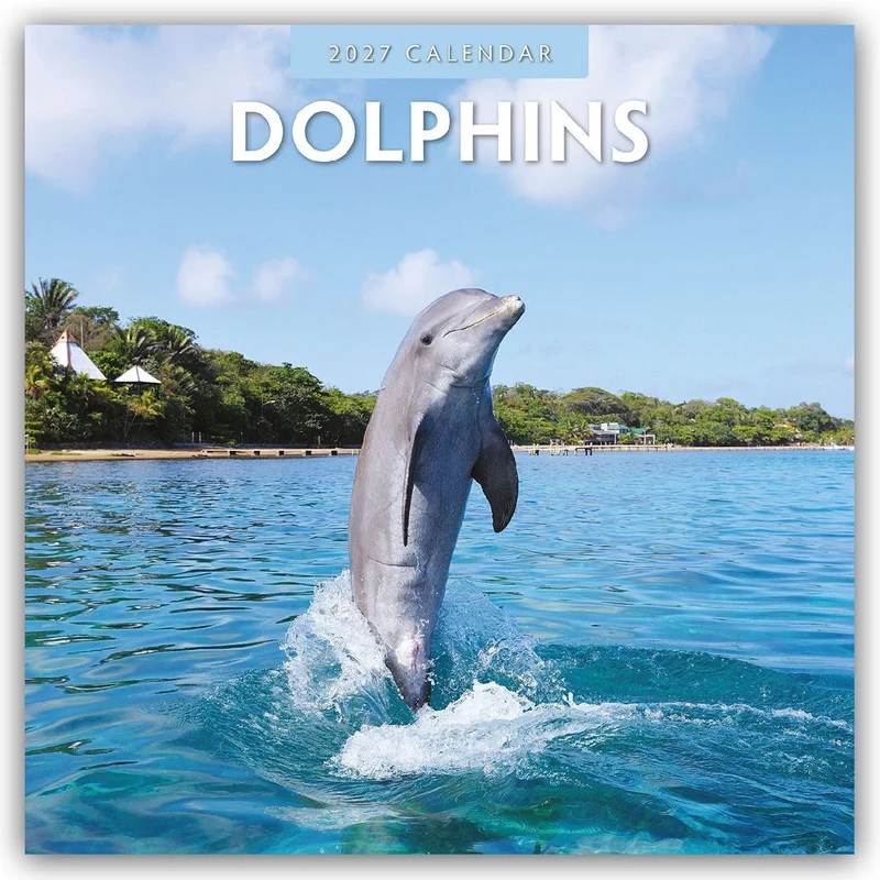 Dolphins - Delfine 2027 - 16-Monatskalender