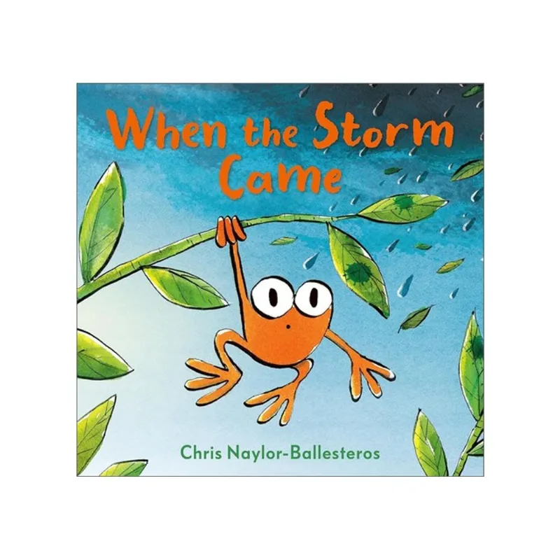 WHEN THE STORM CAME