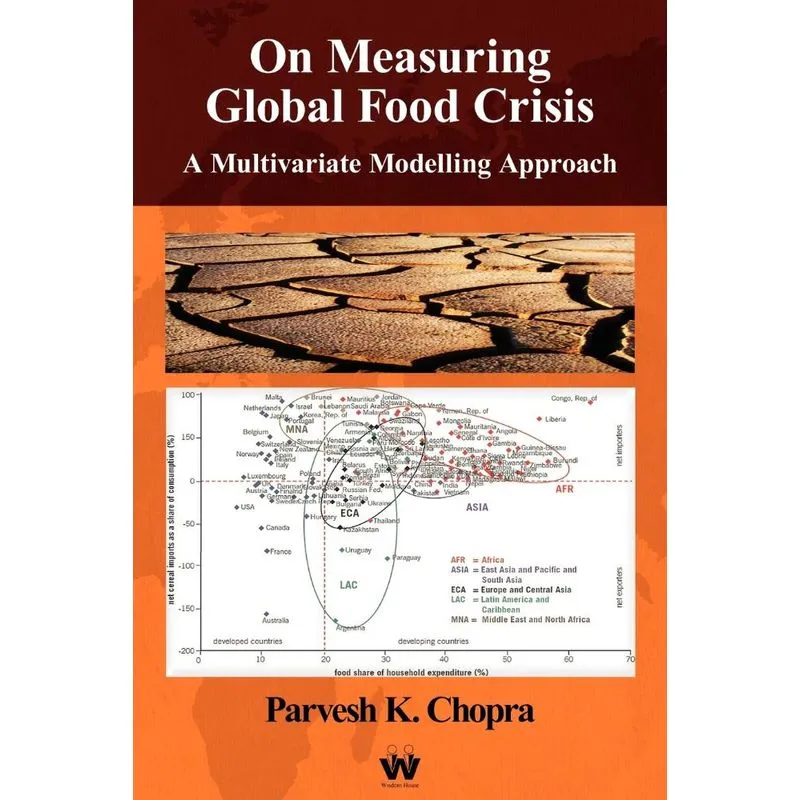 On Measuring Global Food Crisis