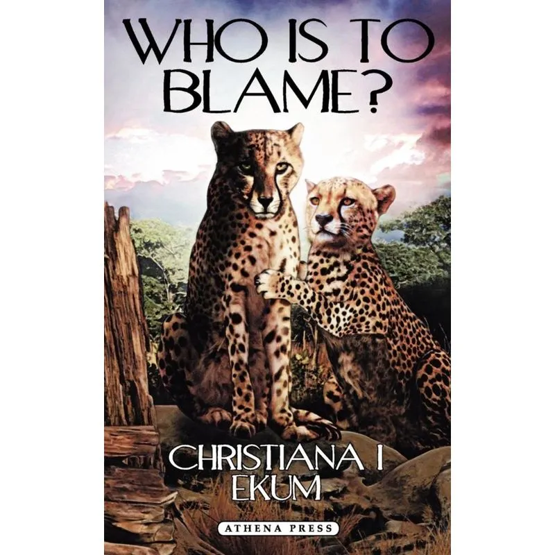 Who Is to Blame?