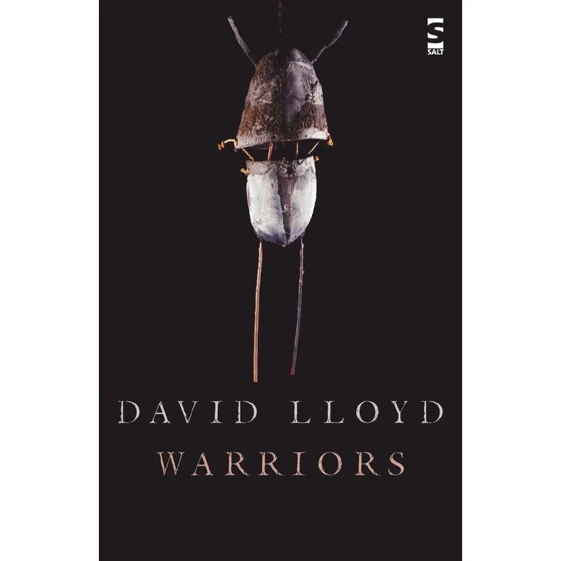 Warriors