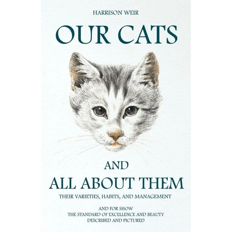 Our Cats and All about Them