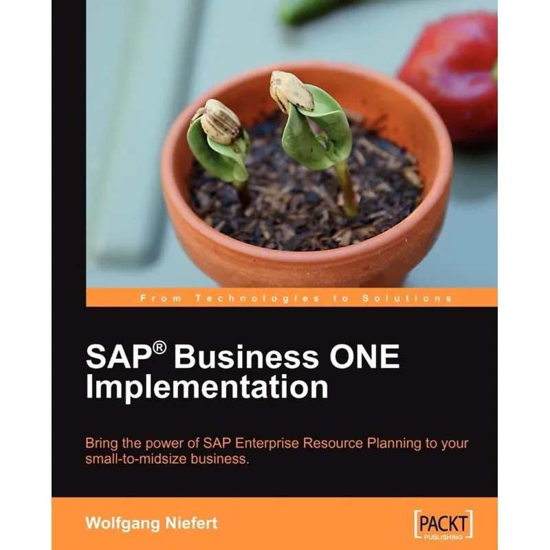 SAP Business ONE Implementation