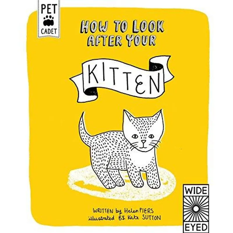 How to Look After Your Kitten