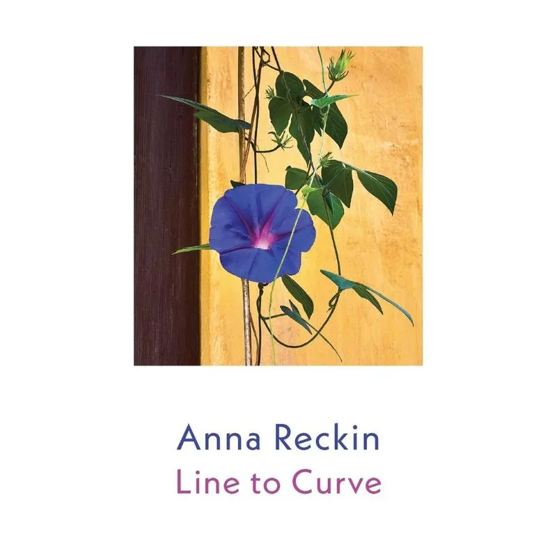 Line to Curve