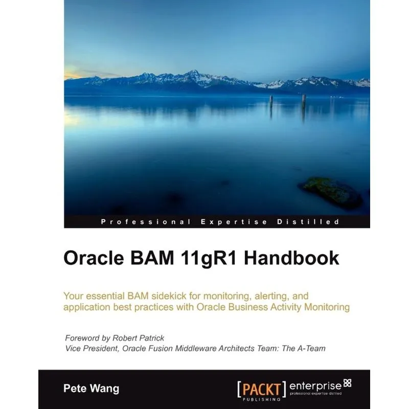 Oracle Bam 11gr1 Handbook