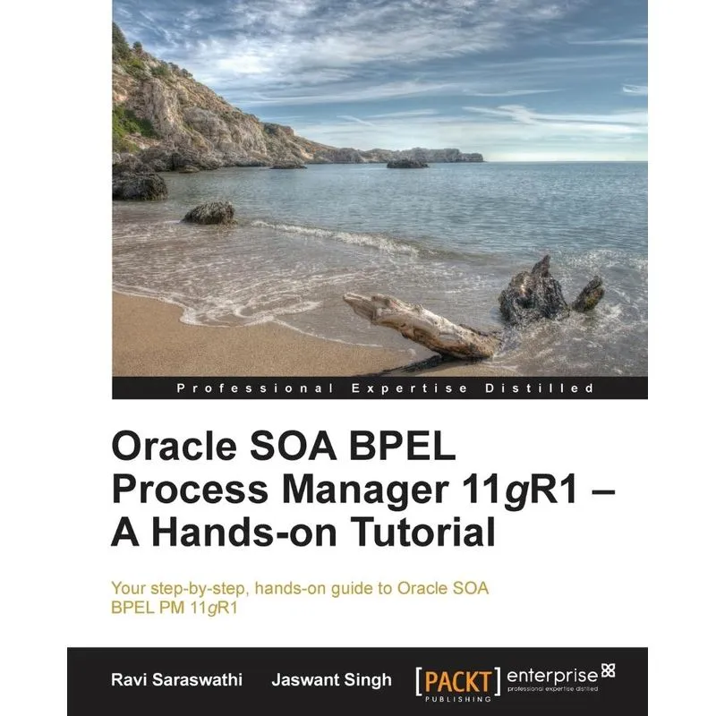 Oracle Soa Bpel PM 11g R1