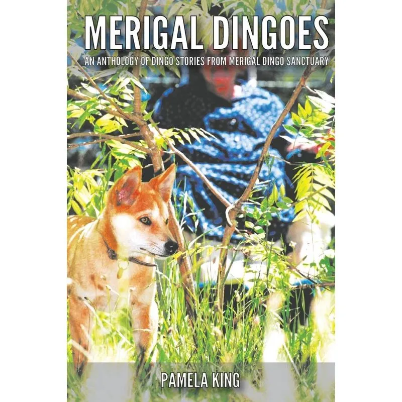 Merigal Dingoes