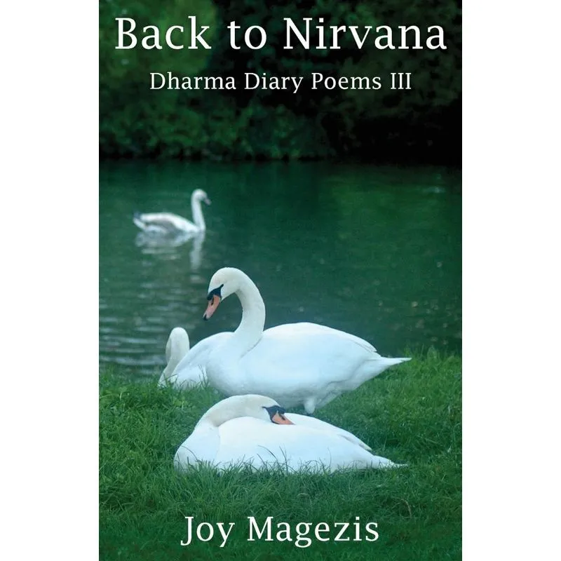 Back To Nirvana