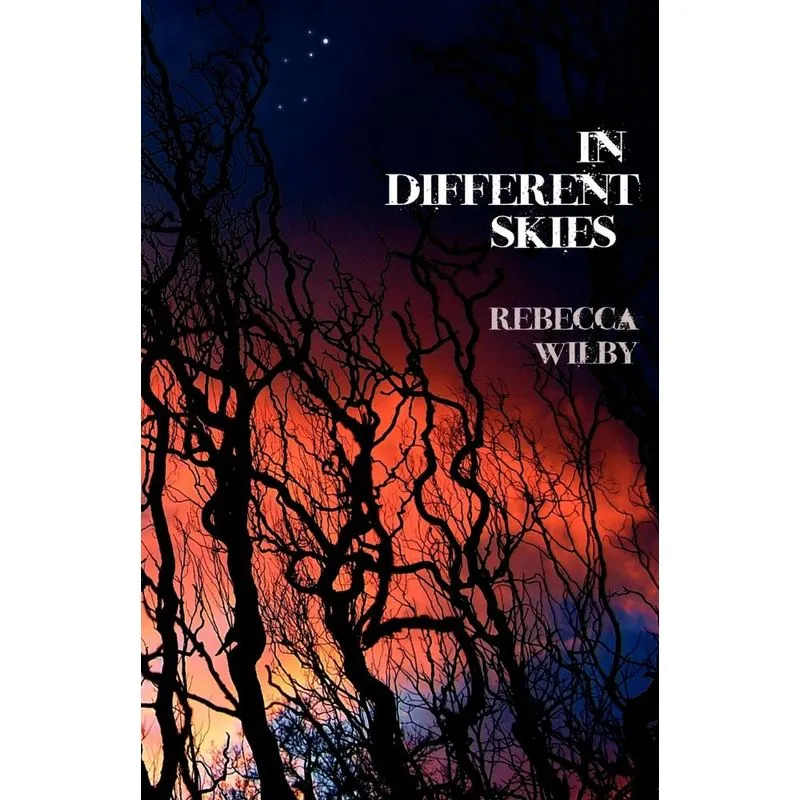 In Different Skies