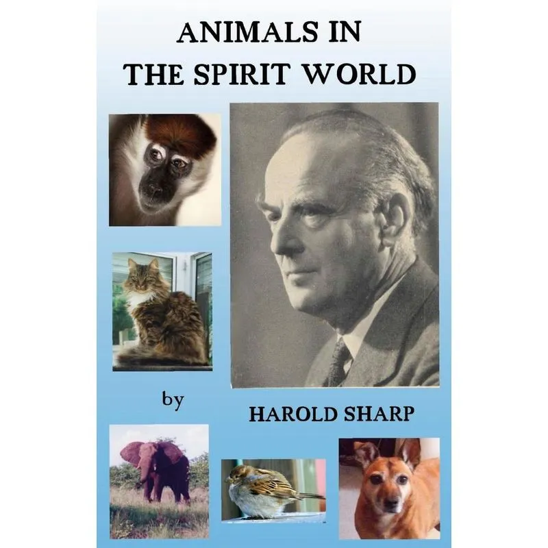 Animals in the Spirit World