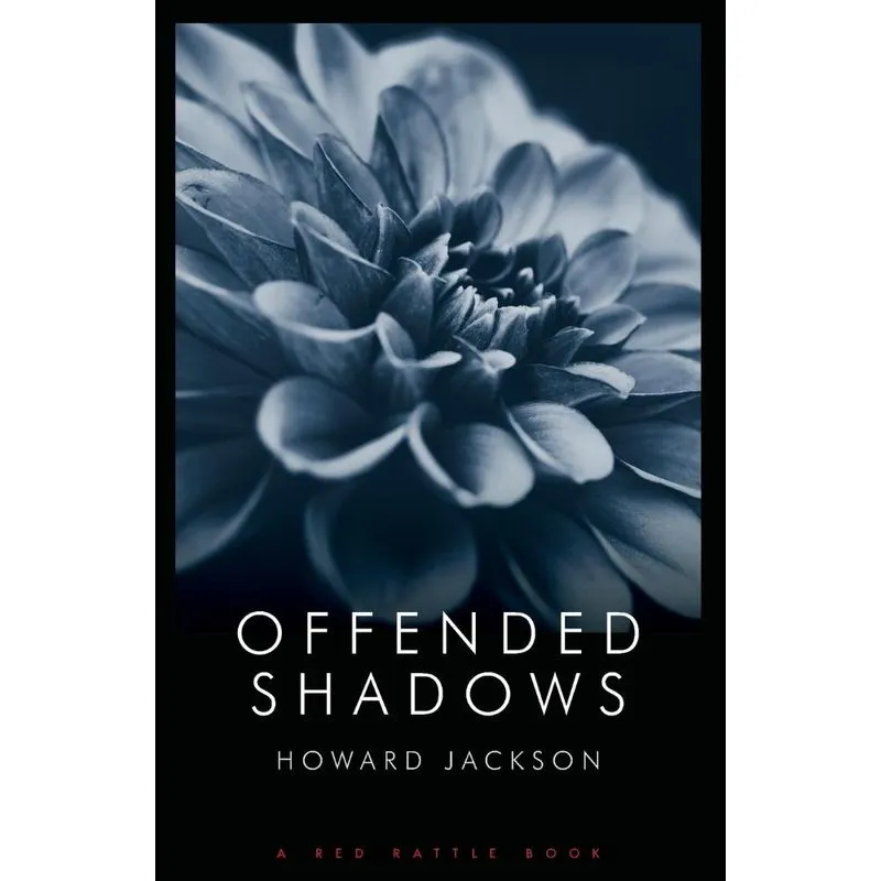 OFFENDED SHADOWS