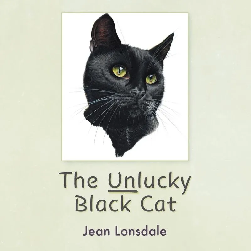 The Unlucky Black Cat