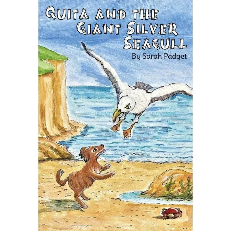 Quita and the Giant Silver Seagull