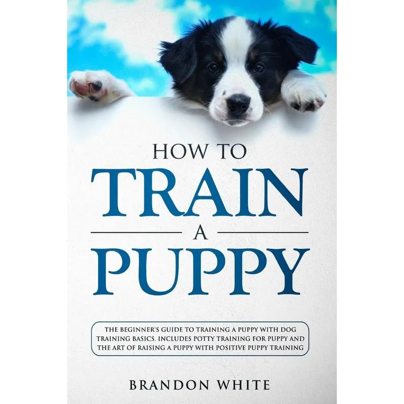 How to Train a Puppy
