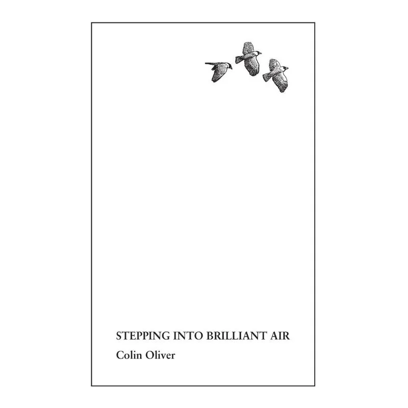 Stepping Into Brilliant Air