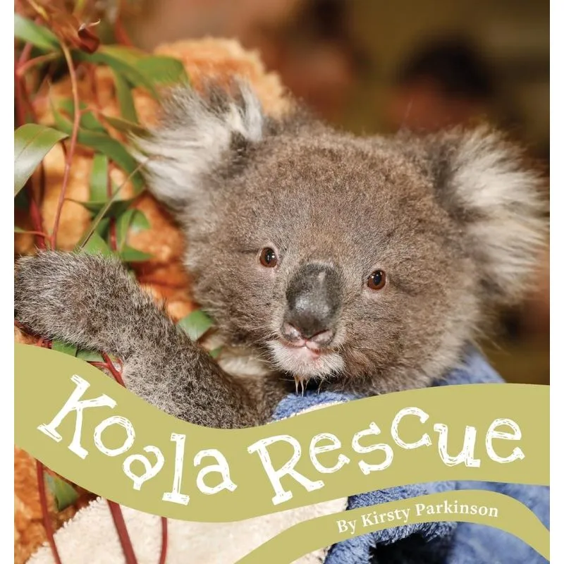 Koala Rescue
