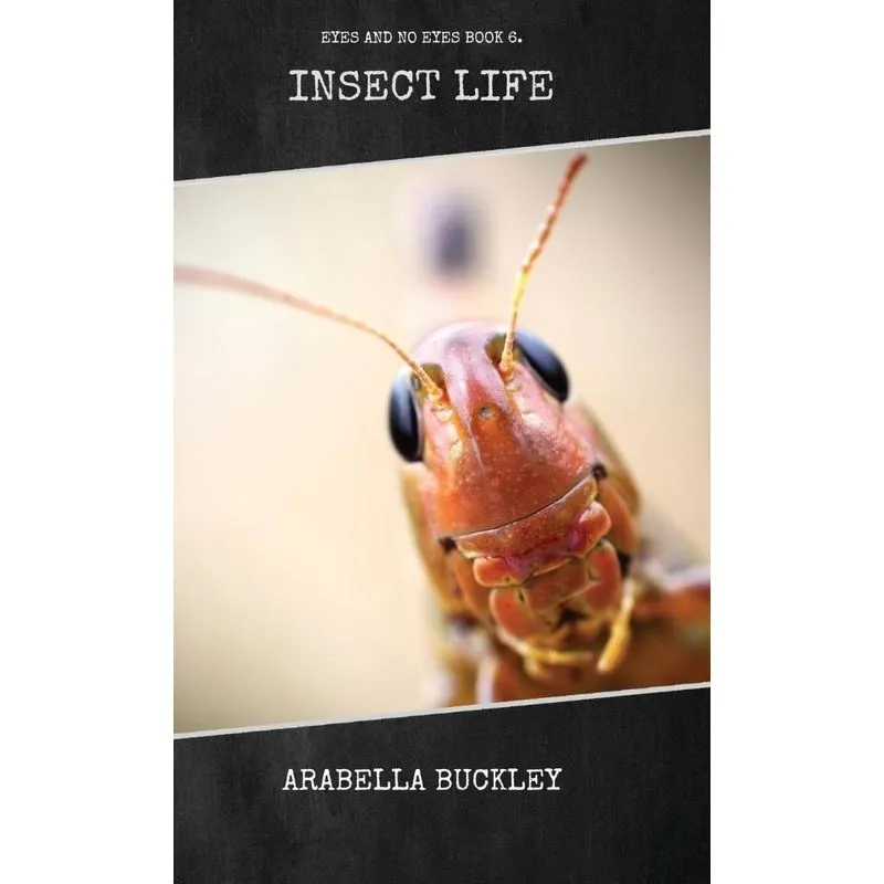 Insect Life