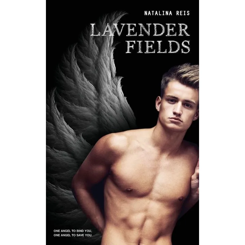 Lavender Fields