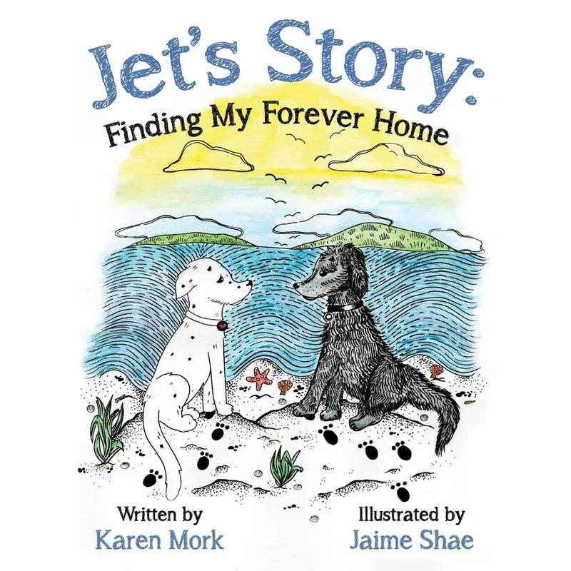 Jets Story