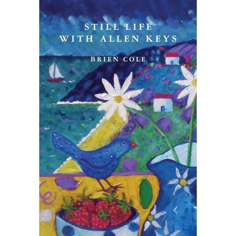 Still Life with Allen Keys