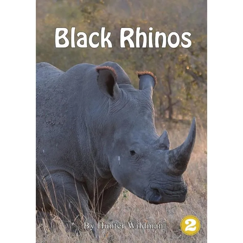 Black Rhinos