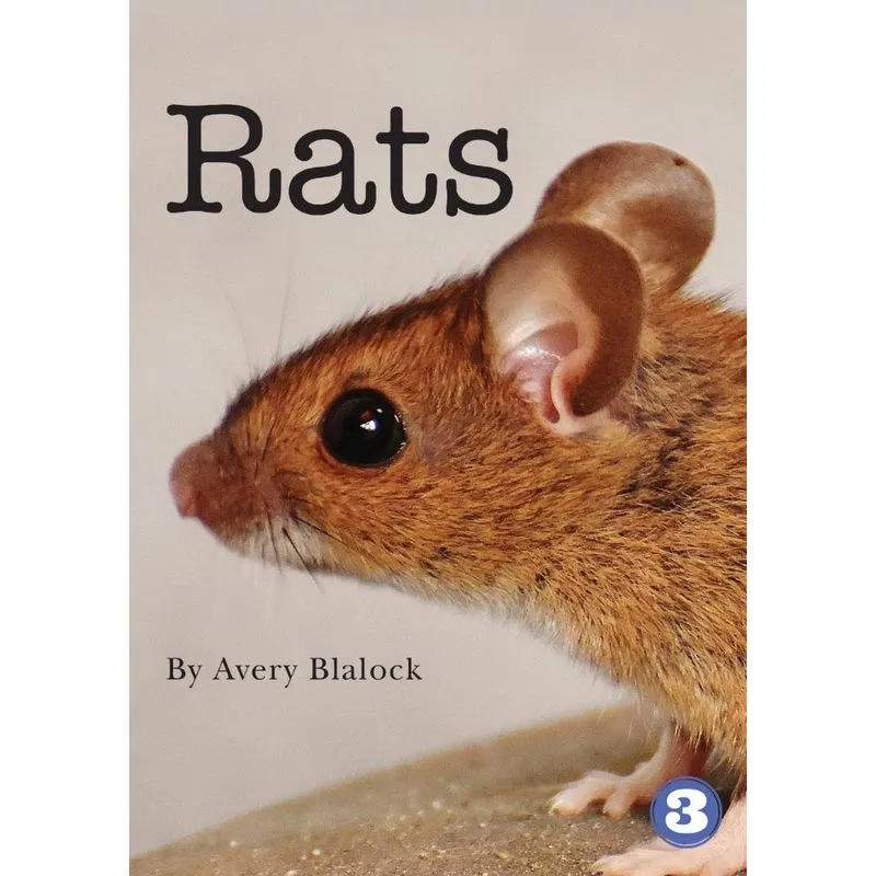 Rats
